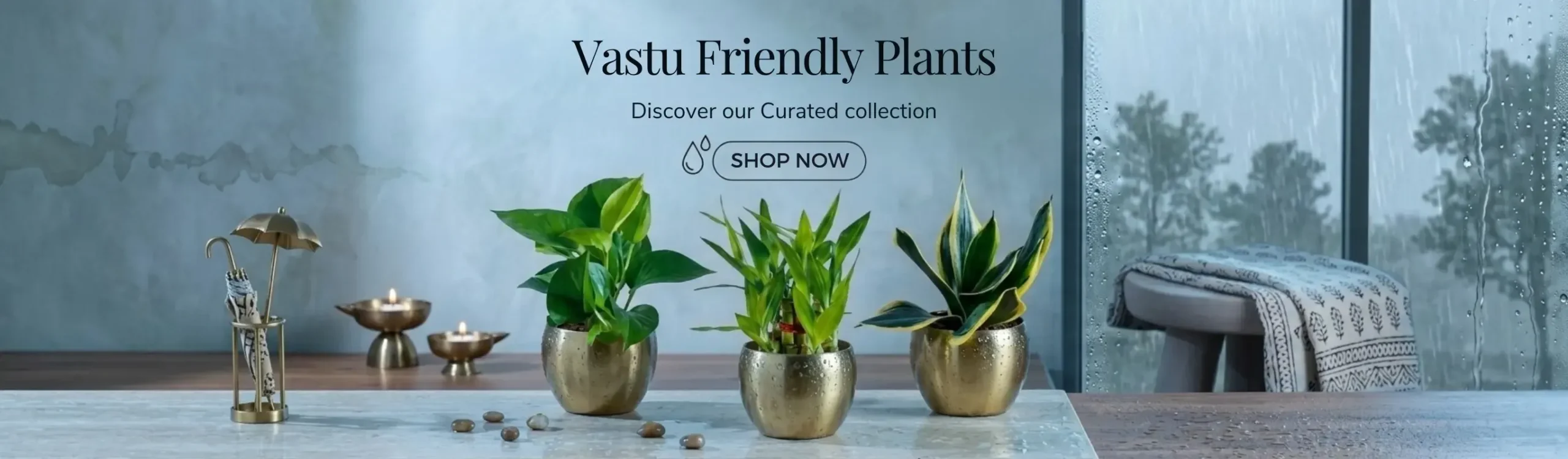 imgi_3_vastu-plants-set-monsoon-month-sale-2026-banner-D-greenkin