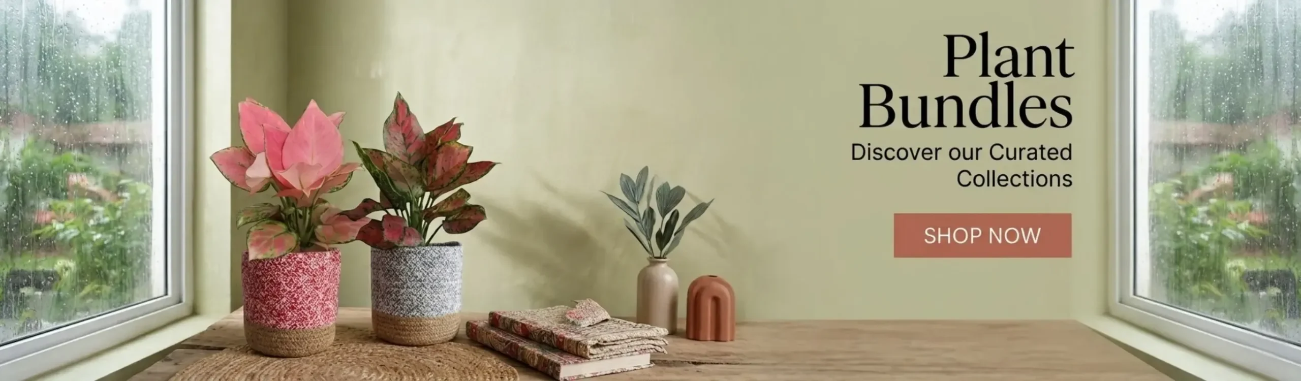 imgi_4_combo-plants-set-monsoon-month-sale-2026-banner-D-greenkin