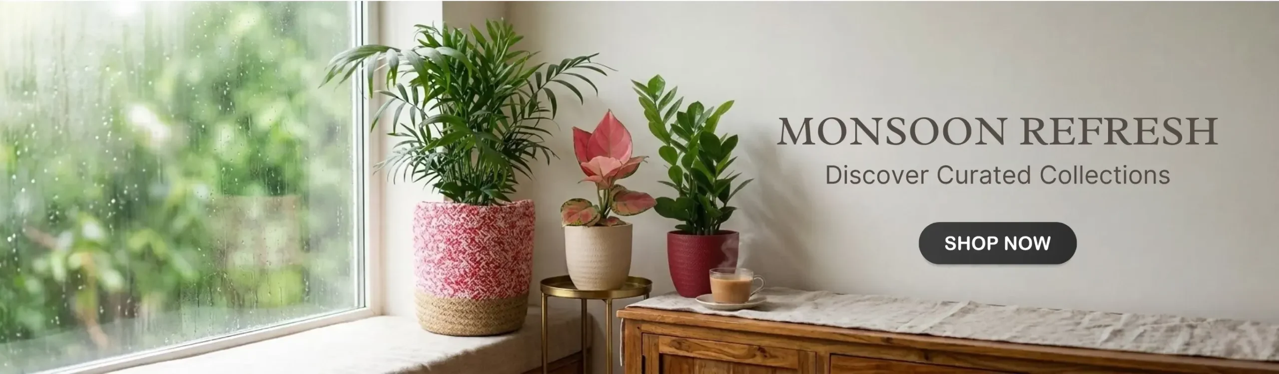 imgi_5_indoor-plant-plants-Monsoon-month-sale-2026-banner-D-greenkin